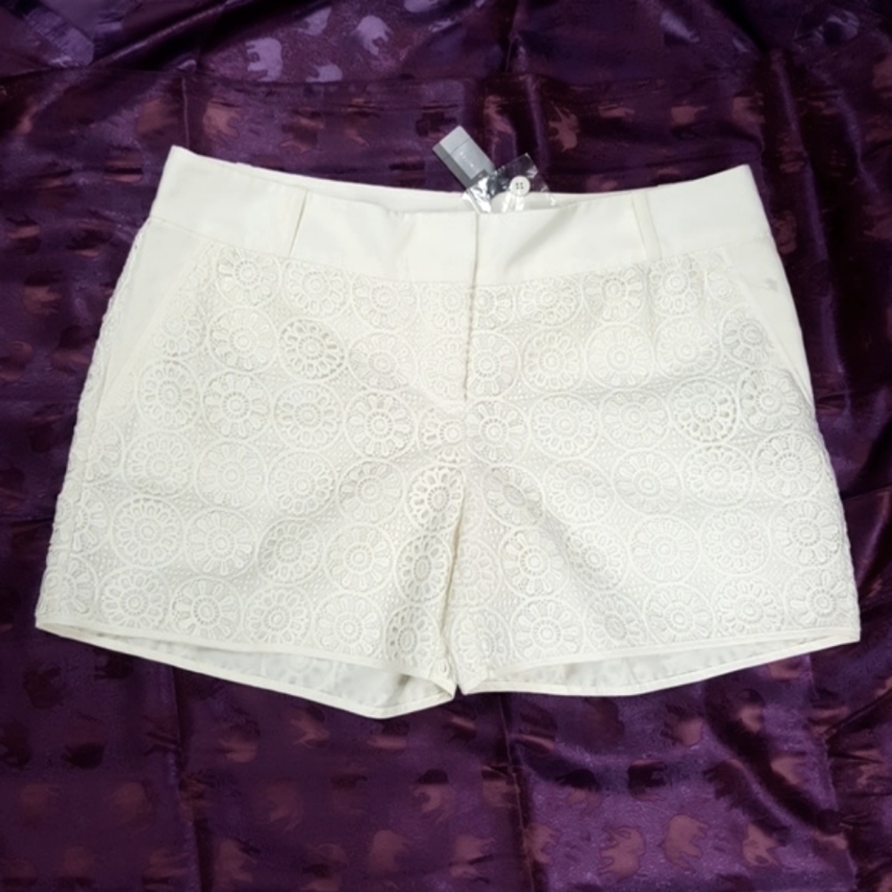 Limited Crochet Lace Shorts